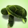 Green Tortoise Polyester Soft Toy - (ARCH-267)