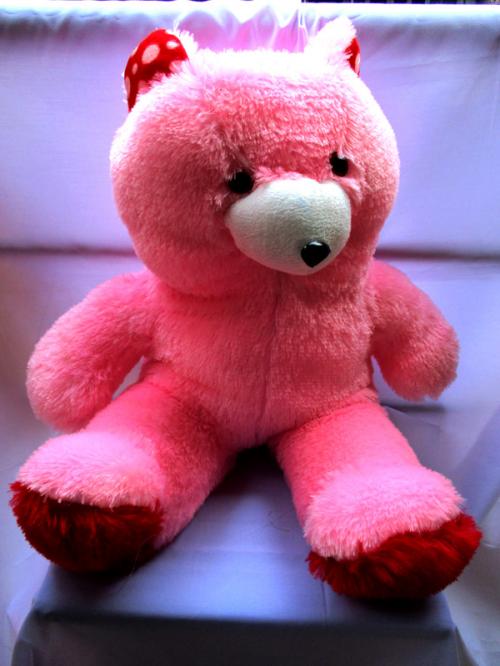 Pink Teddy - (FLOWERHOUSE-007)