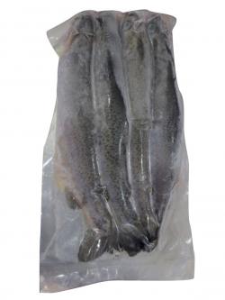 Frozen Traut Fish - 1 KG Pack