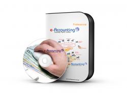 Online Accounting Software (Professional Version)