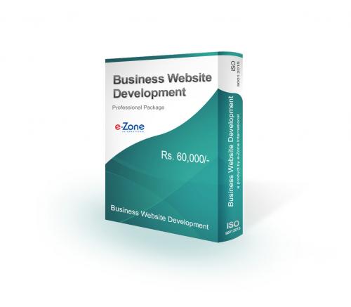 Business Website Development Professional Package
