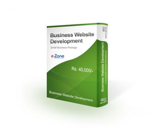 Small Business Website Development Package