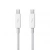 Apple Thunderbolt Cable (0.5 m)-ZML - (ES-056)