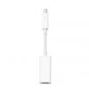 Apple Thunderbolt to FireWire Adapter - (ES-059)