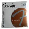 Fender Acoustic Strings - (ACT-018)