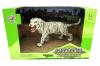 Bengal Tigers Model Action Figure Toy - (HH-075)