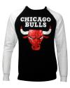 Black & White Colored Chicago Bulls T-Shirt For Men